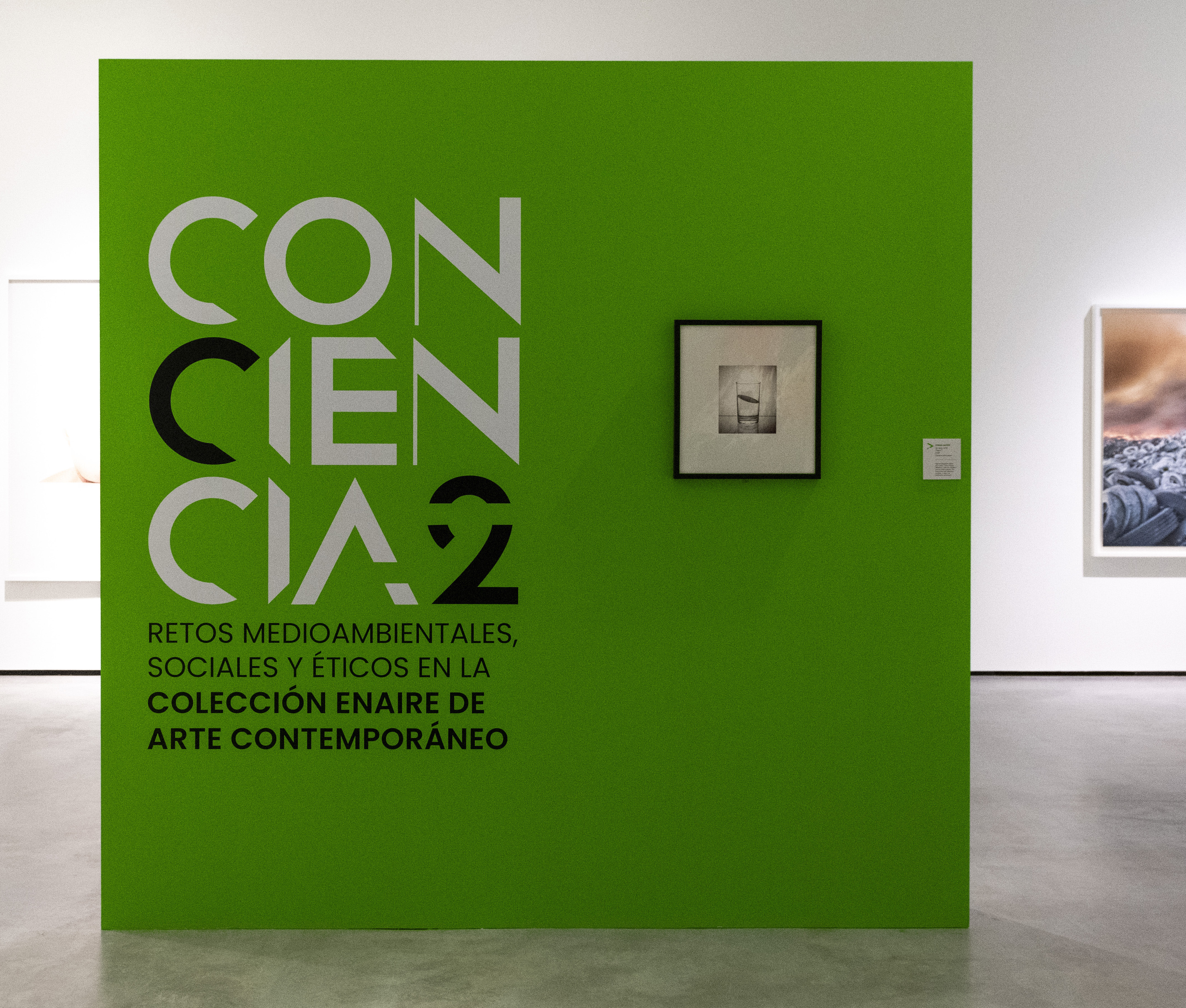 CONCIENCIA2 2